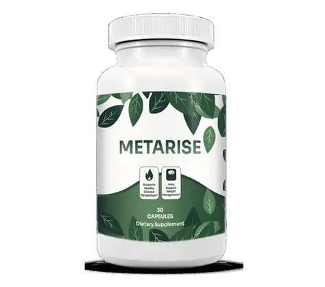 MetaRise Official Website